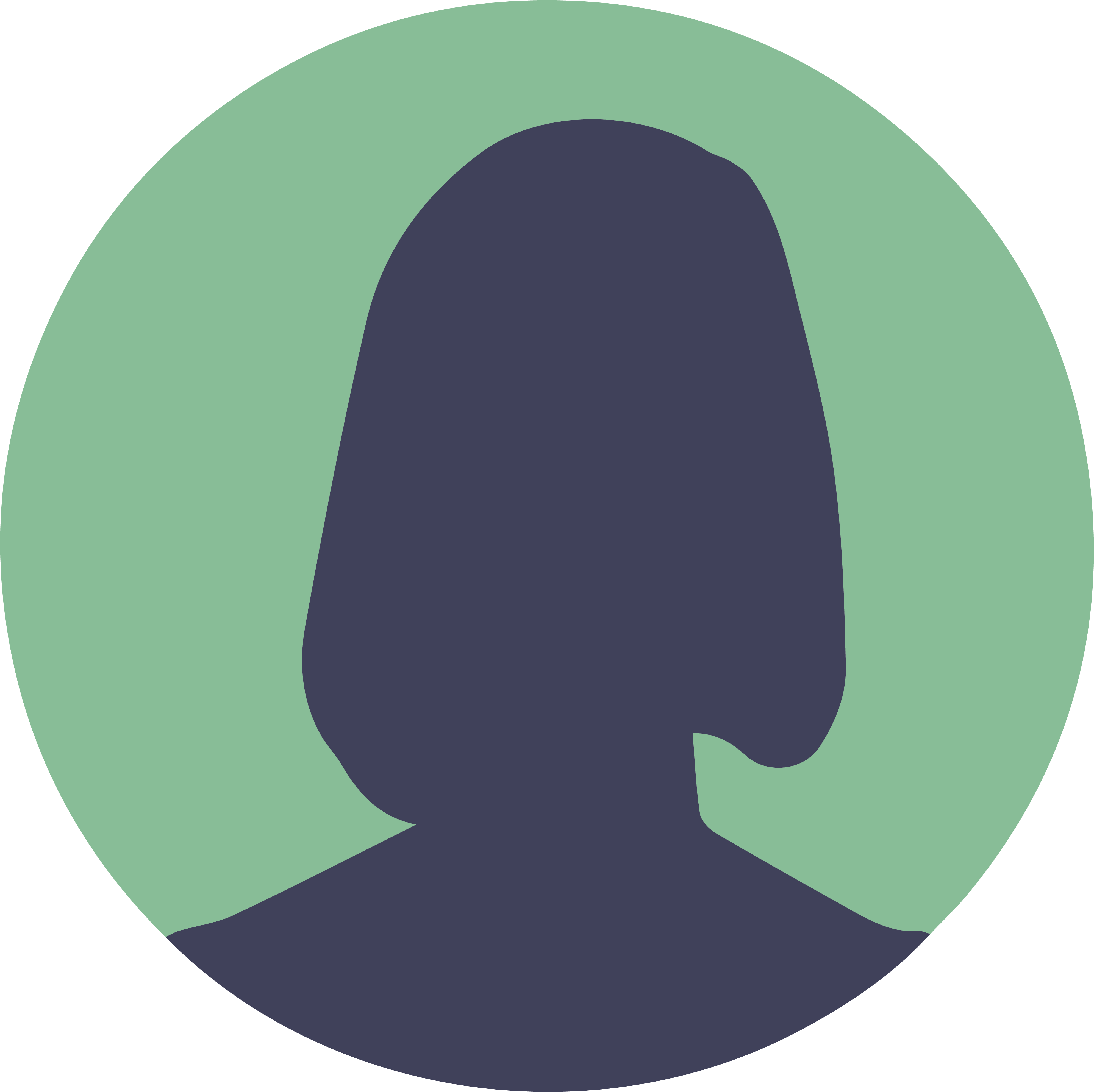 Dr. Susanne Shay